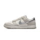 Nike Dunk Low Silver Swoosh