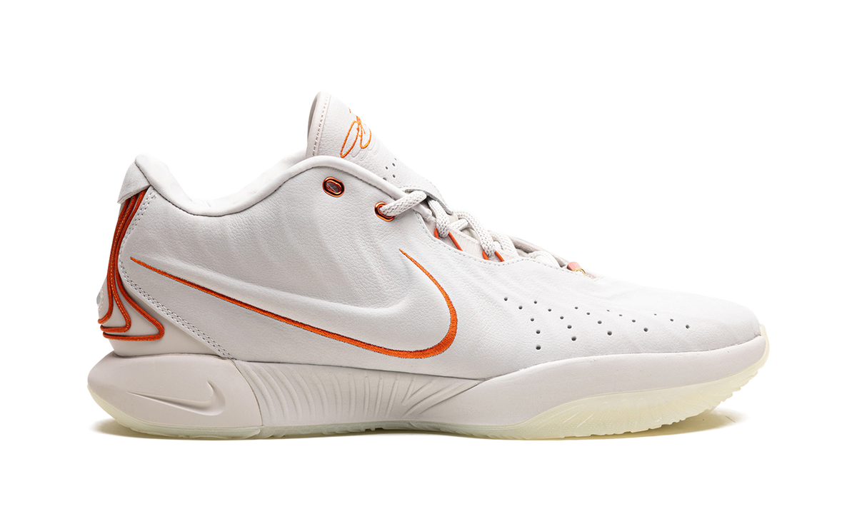 Nike LeBron 21 Akoya