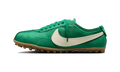 Nike Moon Shoe Malachite Soft Pearl
