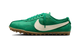 Nike Moon Shoe Malachite Soft Pearl