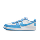 Nike Terminator Low University Blue