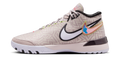 Nike Zoom LeBron NXXT Genisus Platinum Violet