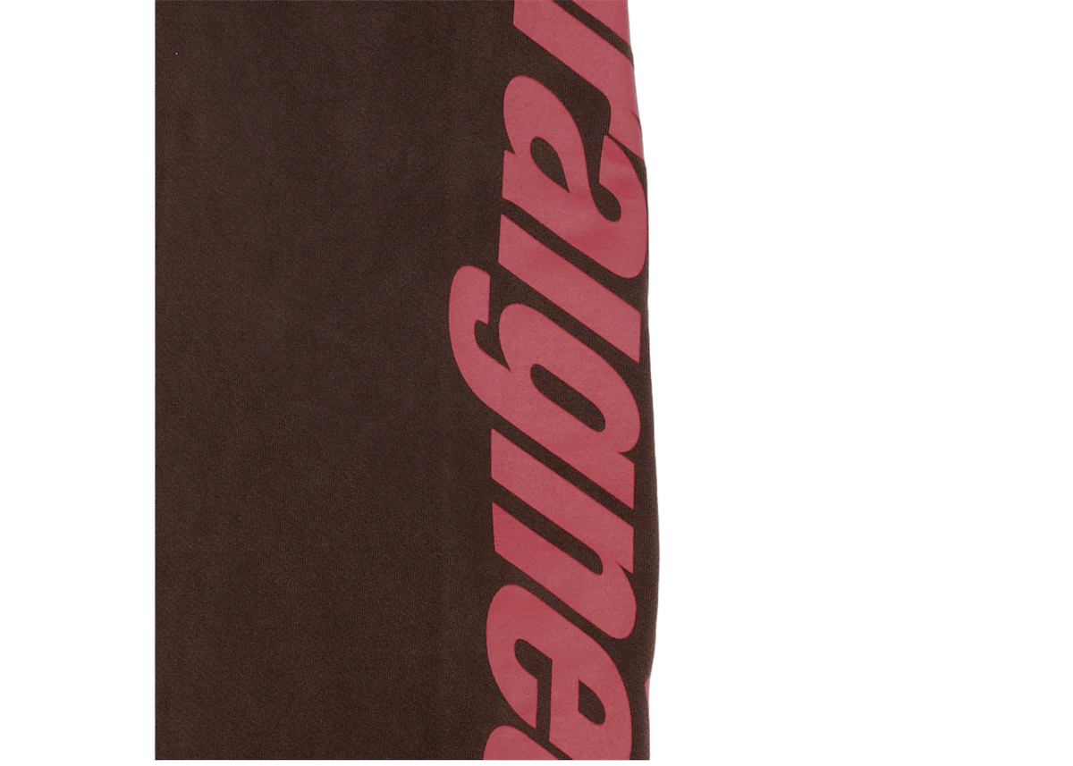 Sp5der Araignee Sweatpants Brown