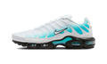 Nike Air Max Plus Dusty Cactus/Black/White