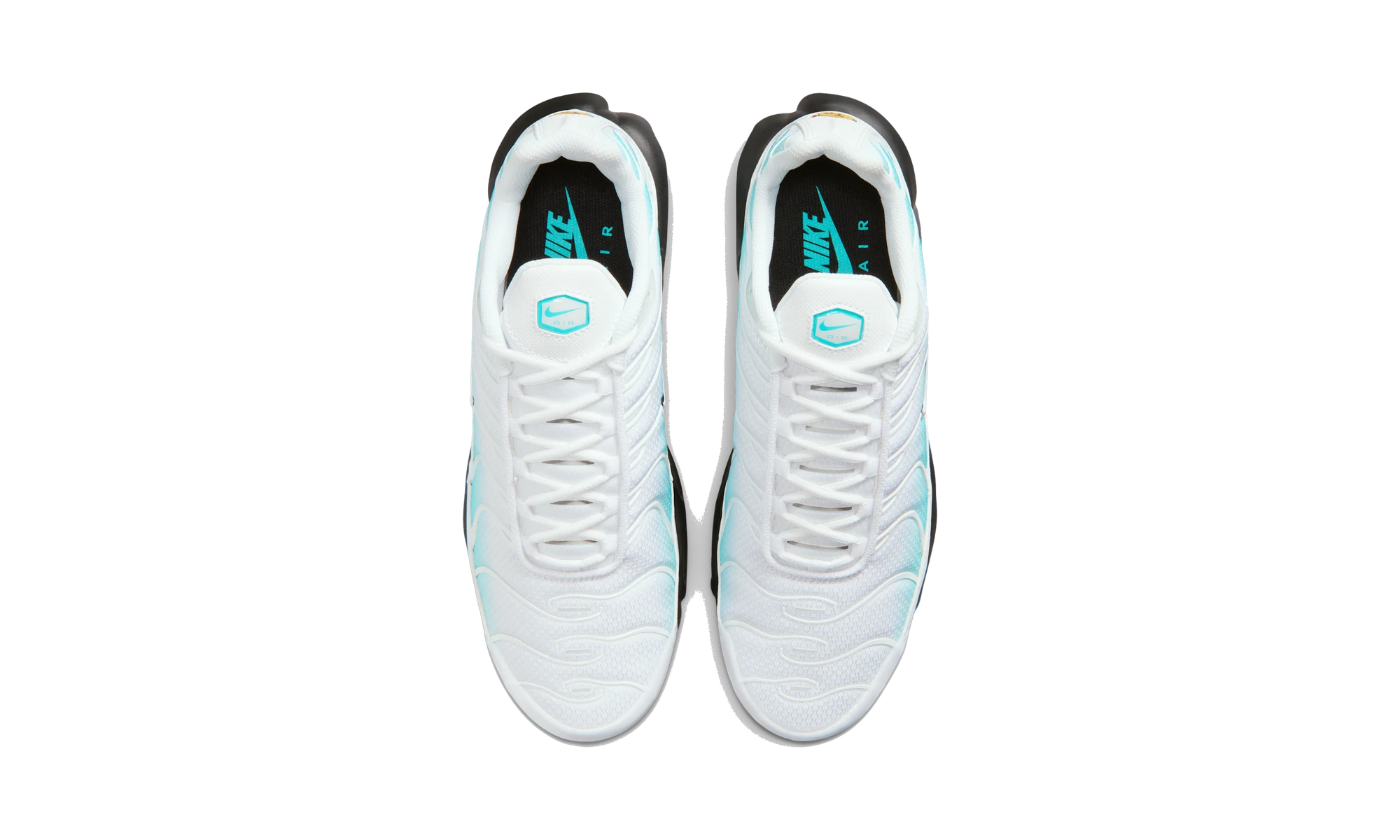 Nike Air Max Plus Dusty Cactus/Black/White